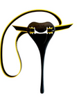 Finis Swim Posture Trainer - Booley Galway