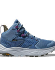 Women's Anacapa 2 Mid GTX - Dune / Ice Flow