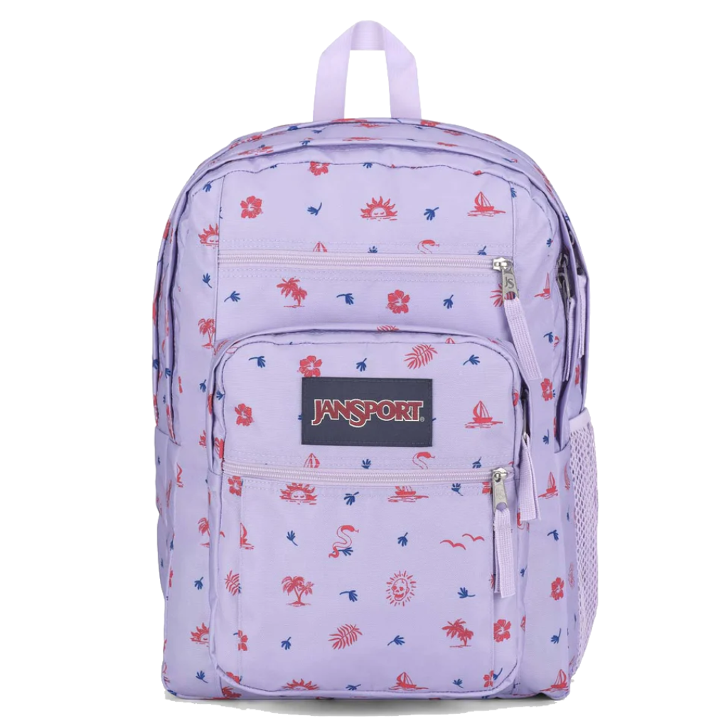 Jansport little backpack sale
