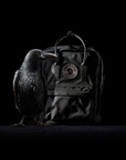 Fjallraven Kanken No. 2 Black - Booley Galway