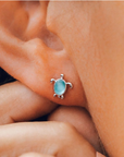 Sea Turtle Studs - Silver