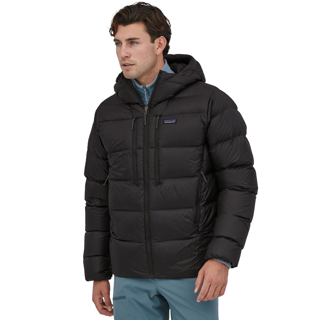 Patagonia m's fitz top roy down parka