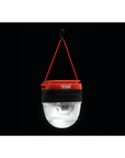 Petzl Noctilight - Booley Galway