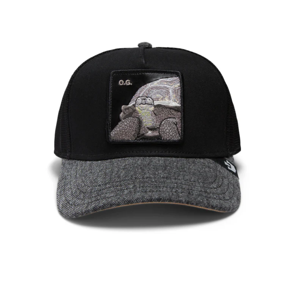 The OG Tortoise - Black