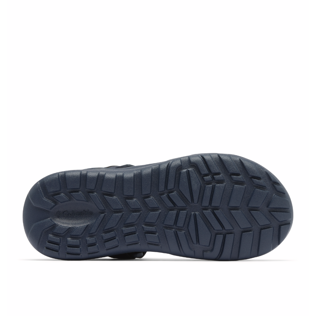 Women's Peakfreak Roam Sandal - India Ink / Granite Purple