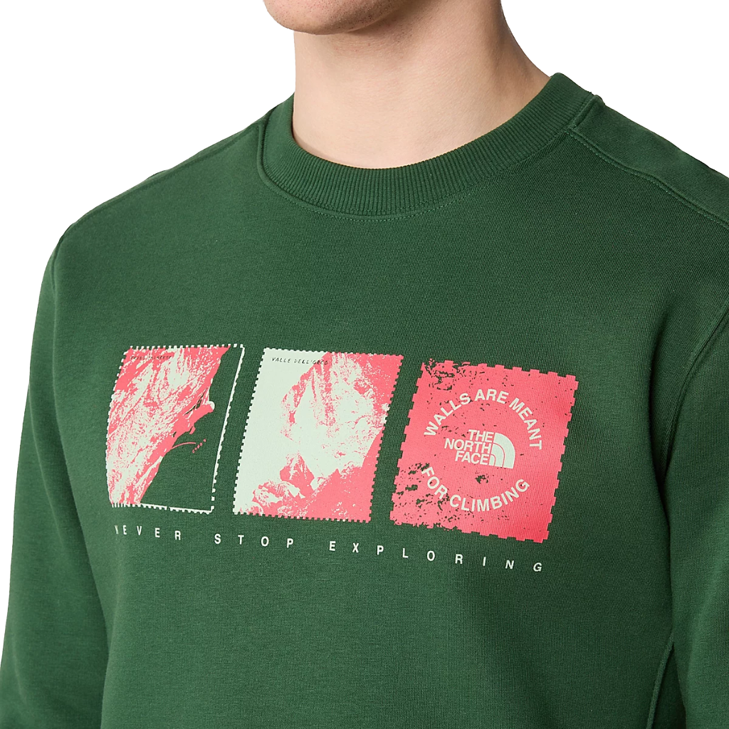 Mens north outlet face crewneck sweatshirt