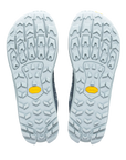 Women's Lone Peak 9+ GTX - Flint Stone/Ice Flow/India Ink