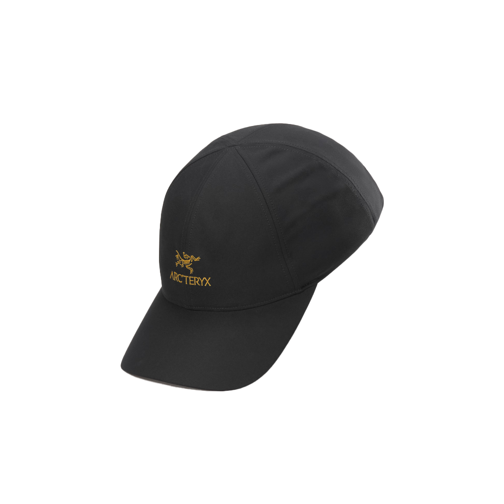 Bird Word Logo Cap - 24K Black
