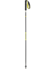 Poles Ultra Carbon Foldable
