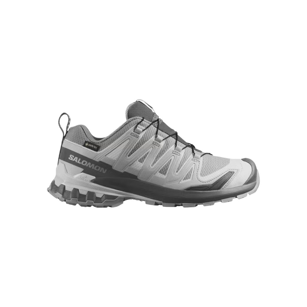 Women's Xa Pro 3D V9 Gtx - Alloy/Castlerock/Lunar Rock