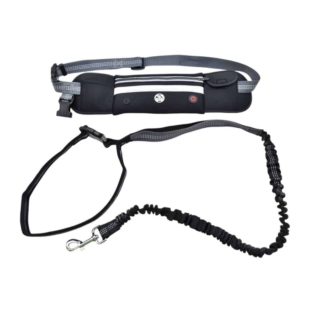 LED Dog Lead Running Belt