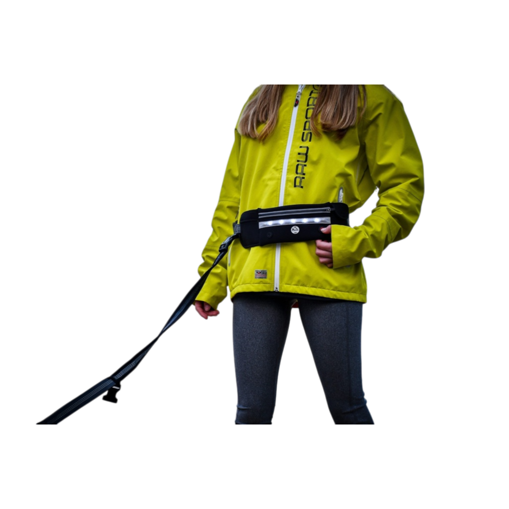 LED Dog Lead Running Belt