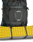 Men's Aether 65L - Garlic Mustard Green