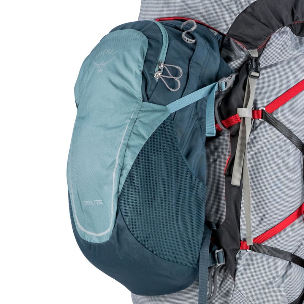Men's Aether 65L - Garlic Mustard Green