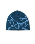 Arc'teryx Bird Head Toque Nightscape / Glacial - Booley Galway