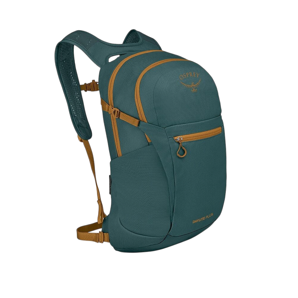 Daylite Plus - Torrent Blue