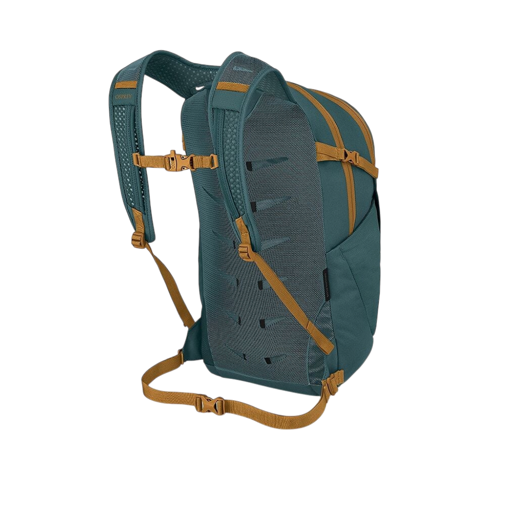 Daylite Plus - Torrent Blue