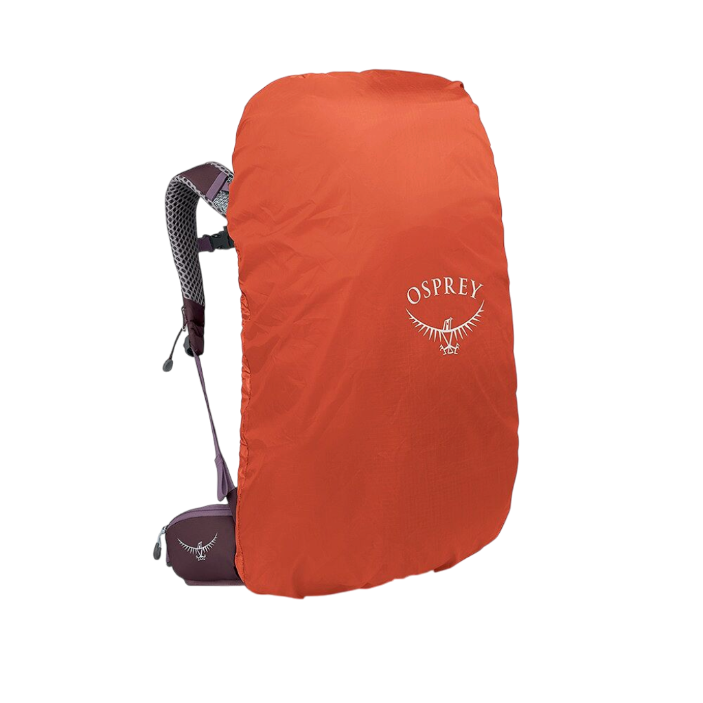 Women's Sirrus 36 - Purple Dusk