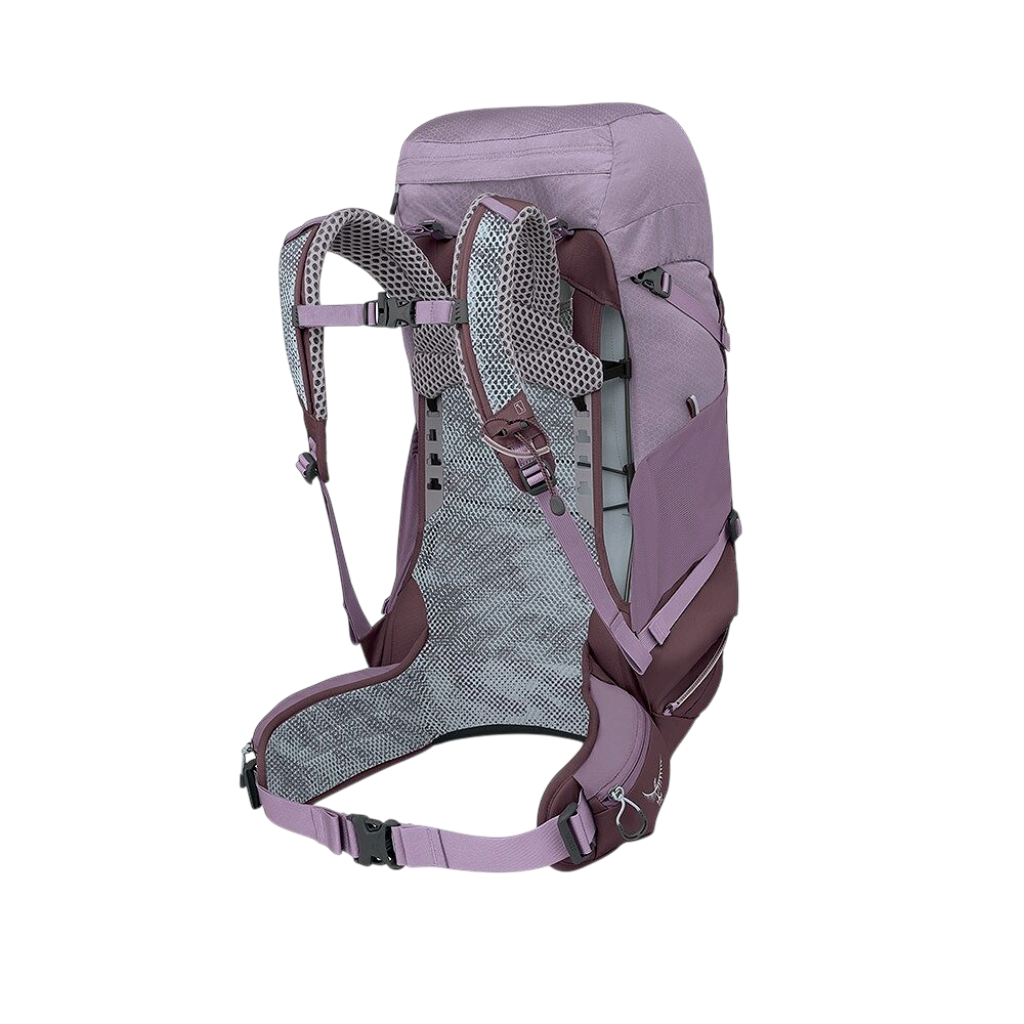 Women's Sirrus 36 - Purple Dusk