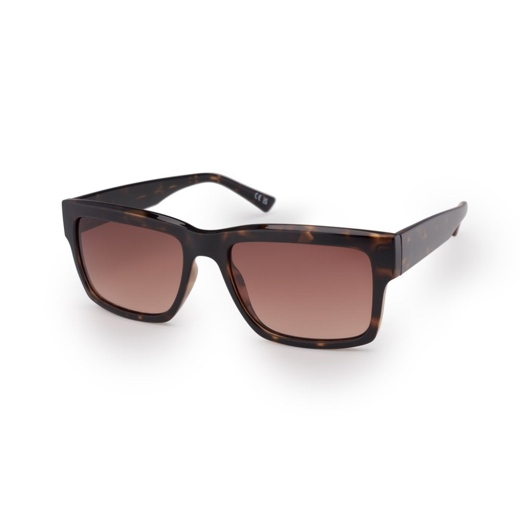 Utah - Shiny Tort / Brown